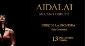 Aidalai, Mecano Tributo