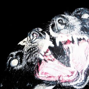 Noche de Rock 1483 - Ídolos del Extrarradio - Lost Wingman