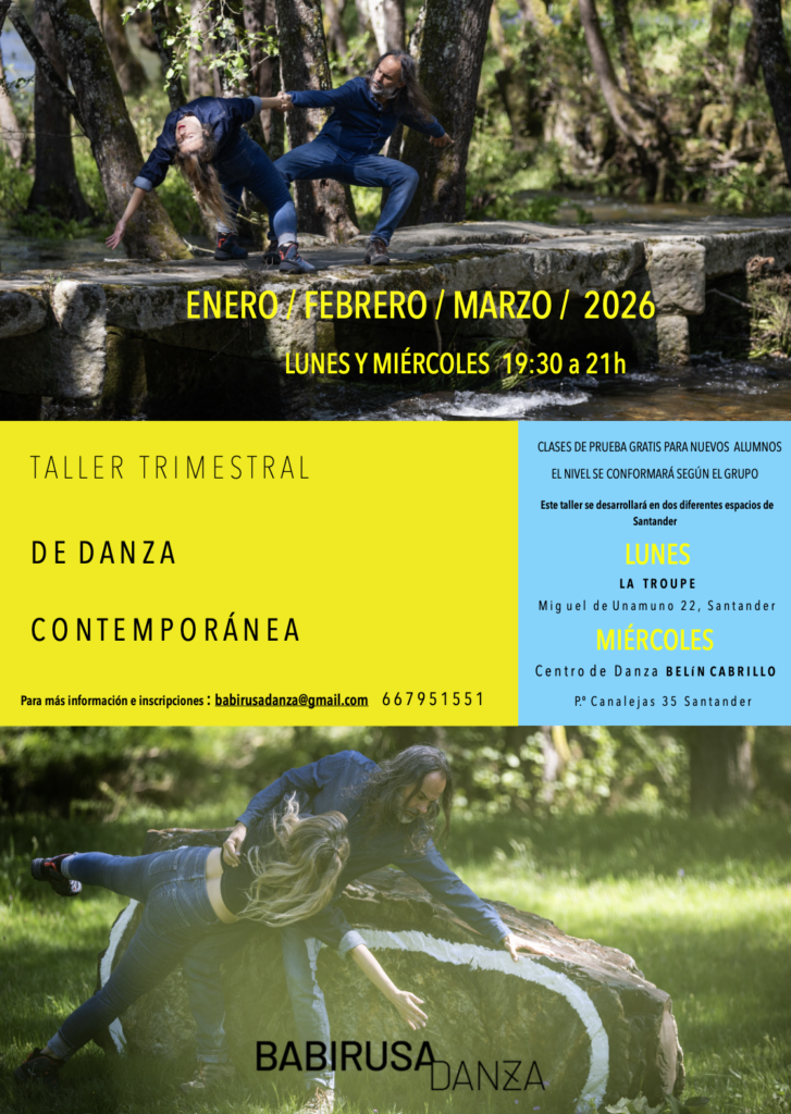 Taller trimestral de danza contemporánea con Babirusa Danza