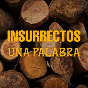 Insurrectos lanza su nuevo single "Una Palabra"