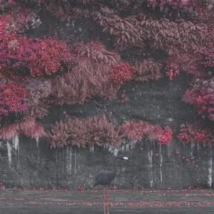 Noche de Rock 1547 - Sleep Token - Murdeity - Hibernia