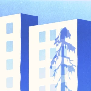 Músicos 14 Mizmaya lanza "Bosque de Secuoyas"