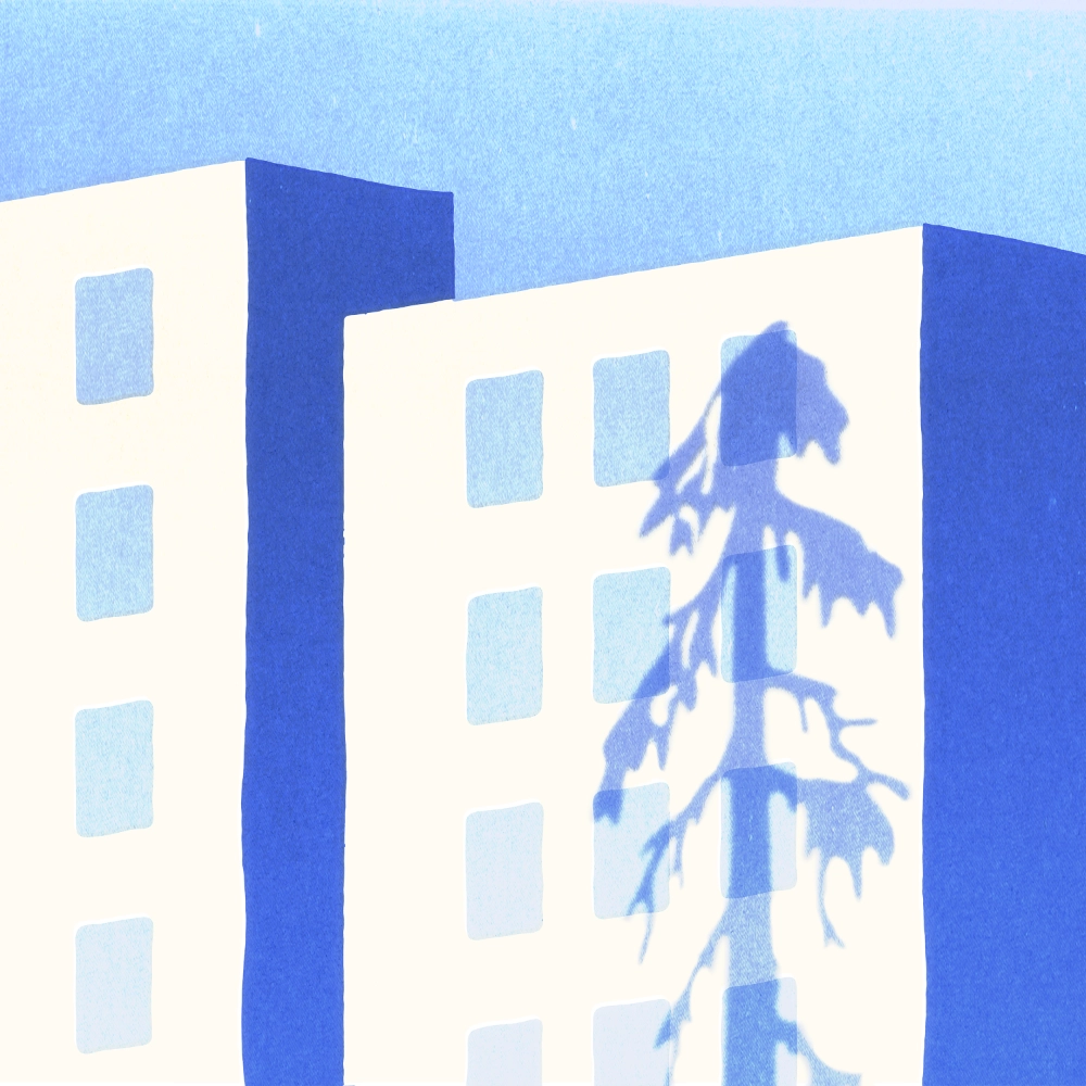 Mizmaya lanza "Bosque de Secuoyas"